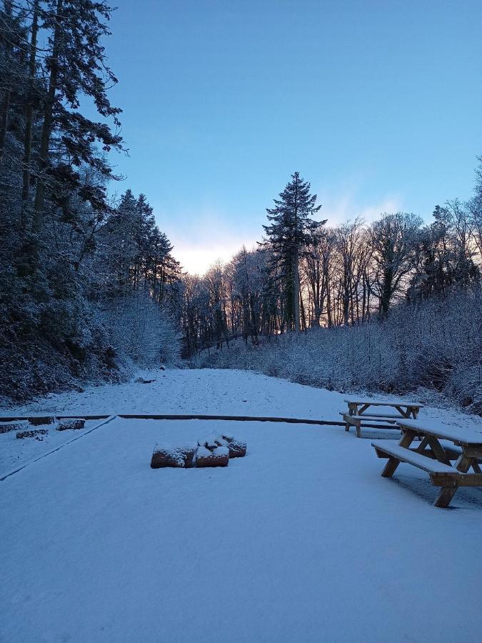 The West Wing At Eriviat Hall Hot Tub Henllan  Extérieur photo