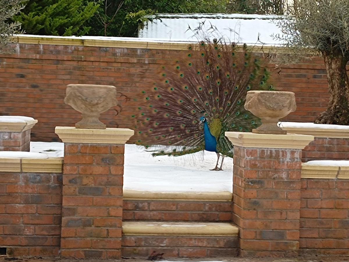The West Wing At Eriviat Hall Hot Tub Henllan  Extérieur photo