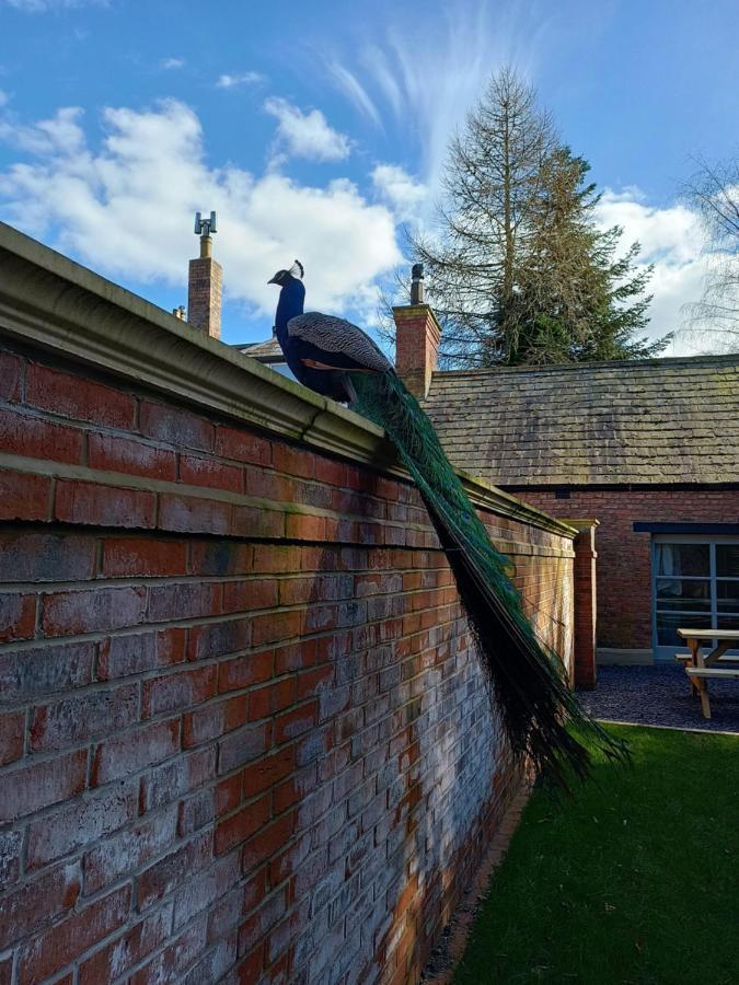 The West Wing At Eriviat Hall Hot Tub Henllan  Extérieur photo